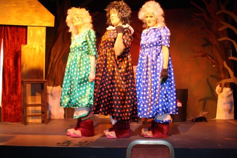 2008 Cinderella - The Trolls Story